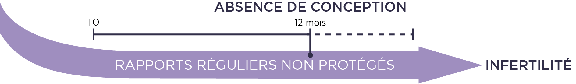 Schéma absence de conception - 12 mois - Infertilité